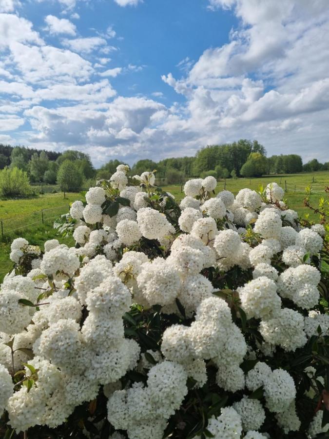 Woodhouse Spreewiesen Burig Esterno foto